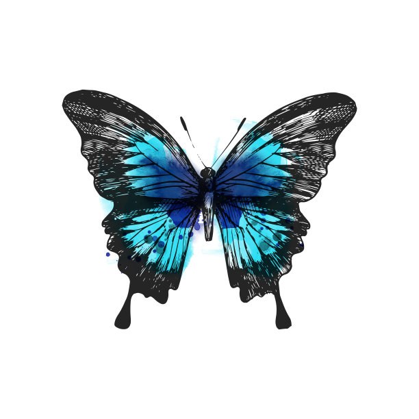 复古风格的蝴蝶数字图像。图片下载