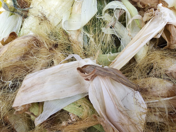 玉米皮废料图片下载