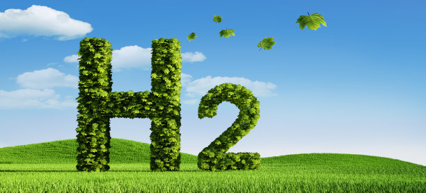 覆盖着叶子的氢符号图片下载