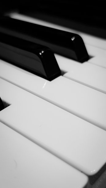 钢琴键图片下载