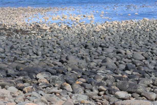 海岸线上覆盖着光滑的灰色巨石图片下载