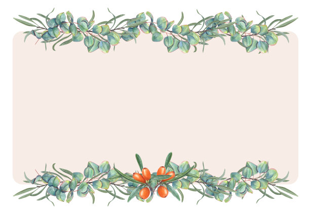 水彩框架沙棘浆果，桉树树枝。华丽的绿色和橙色。插图明信片设计，邀请模板，生日，圣诞节，新年贺卡图片下载