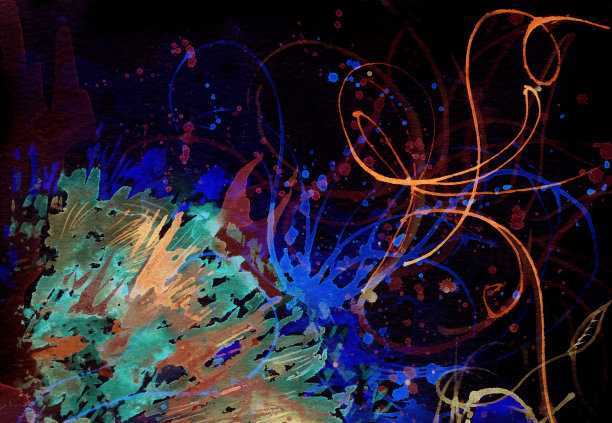 夜间开花图片下载