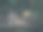 艾伯特的咿呀学语者在吃虫子图片下载