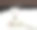 一张照片，一只白猫趴在桌子上，头靠在桌子上。图片下载