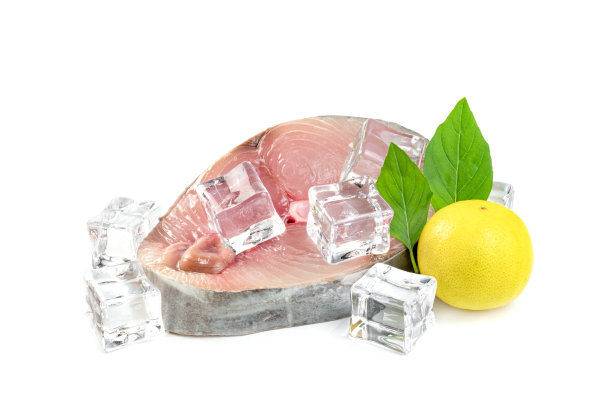 西班牙鲭鱼切片或斑点鲭鱼与柠檬和罗勒叶和冰块分离在白色背景，Scomberomorus图片下载