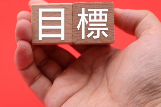 把积木写为目标的人图片下载