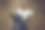 照片中的女人穿着用垃圾袋和扇子做成的舞会裙，背景是复古的。摆姿势的贵族妇女画像。图片下载