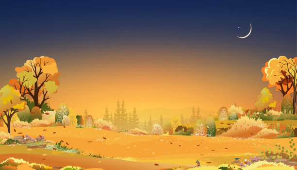 秋天的乡村景观在傍晚光与蓝色和橙色的天空背景，矢量卡通秋天的季节在农村与森林树木和草地与日出，背景自然旗帜图片下载