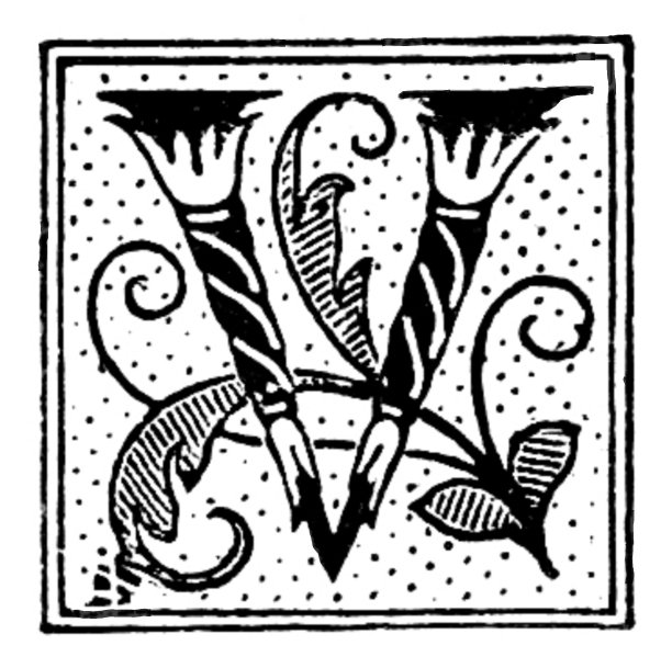 字母V，华丽的列和滚动设计图片下载