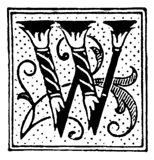 字母W，华丽的列和滚动设计图片下载