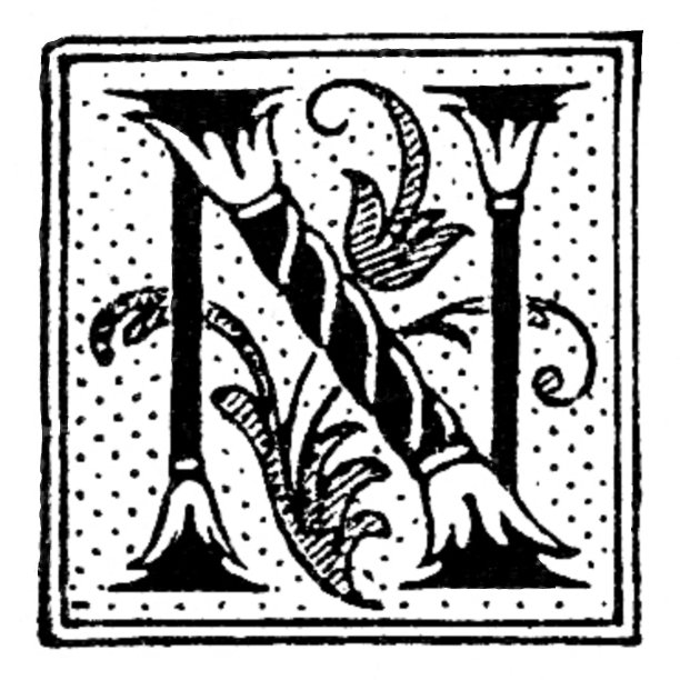 字母N，华丽的列和滚动设计图片下载