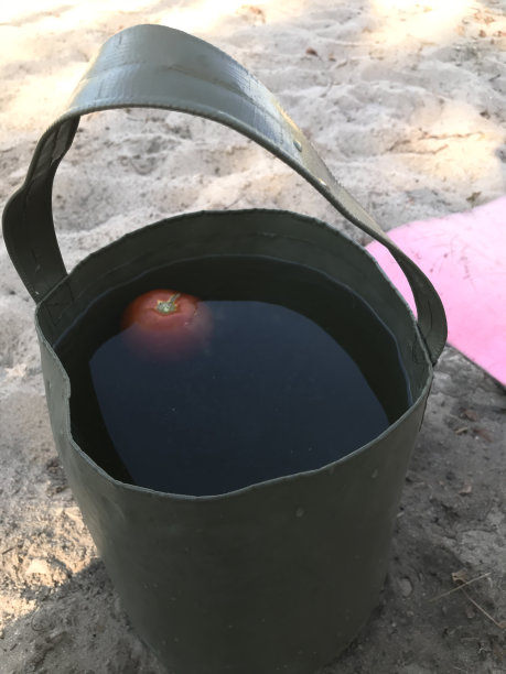 西红柿在桶里加水图片下载