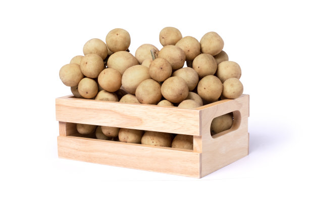 木盒内龙空果或寄生兰图片下载