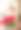 年长的成年公民，年长的高加索白人女性，73岁的祖母拿着红玫瑰花束。生日聚会，母亲节。正面肖像图片下载