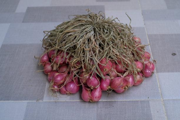 地板上有一堆红洋葱图片下载