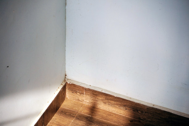 室内客厅墙上的阳光。图片下载