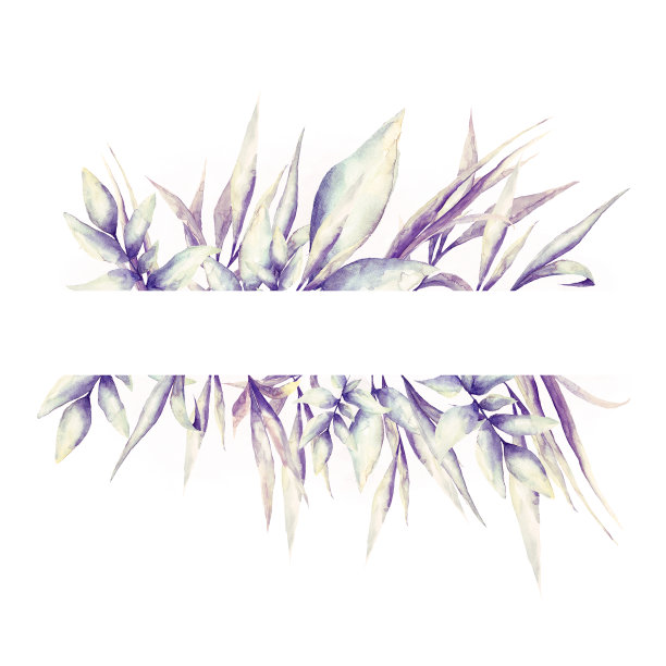 水彩热带叶的花框架图片下载