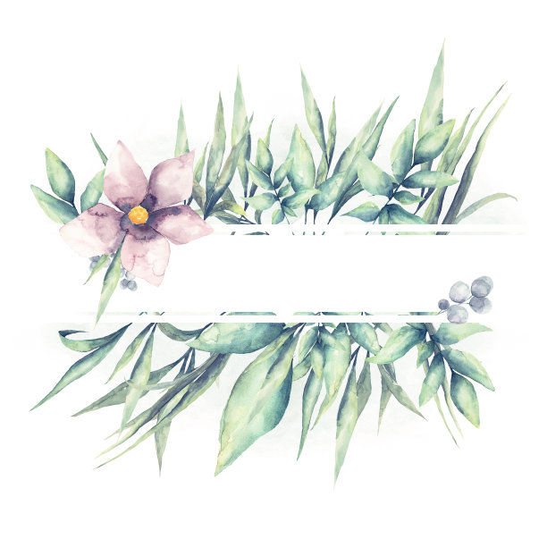 水彩热带叶的花框架图片下载