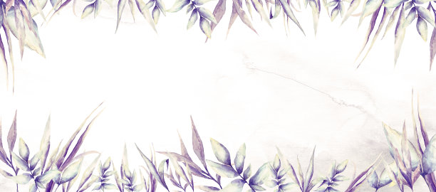 水彩热带叶的花框架图片下载