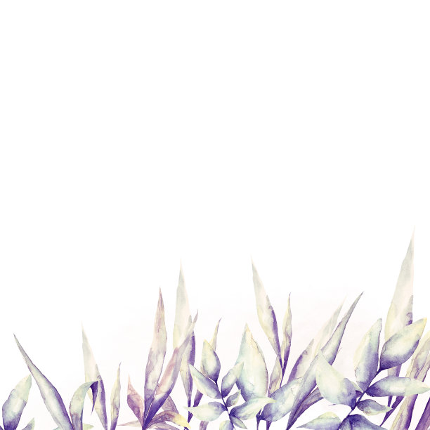 水彩热带叶的花框架图片下载