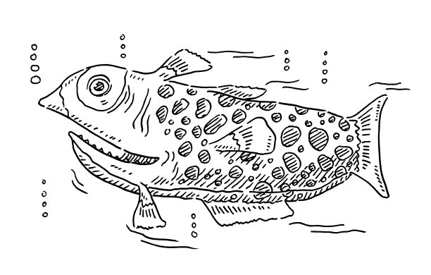 奇怪的卡通鱼图片下载