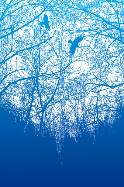 深秋的树木和乌鸦图片下载