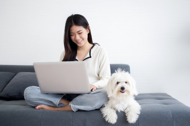 美丽年轻的亚洲女人微笑着坐在笔记本电脑上工作，在家里的客厅里与伴侣狗舒适地上网，女人休闲与宠物，生活方式的概念。图片下载