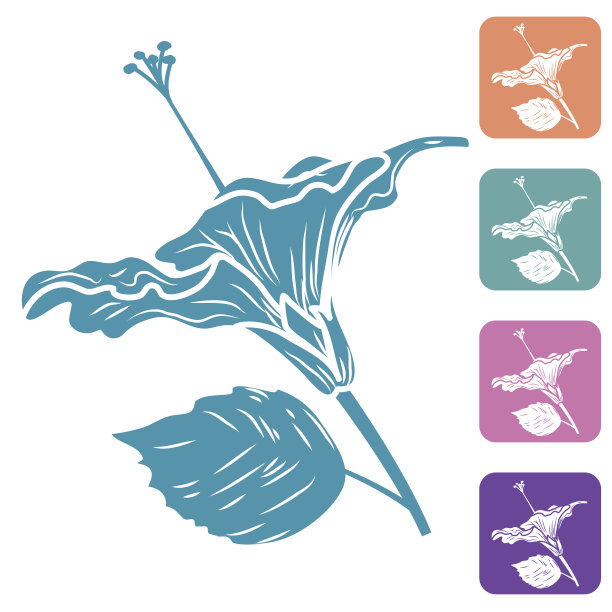 热带芙蓉花剪影图片下载