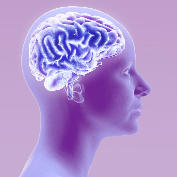 神经学，哲学:连接，思想和反思的发展，大脑和心灵的无限可能。侧视图，人体解剖图片下载