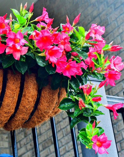 系列2的一部分花在一个下雨的星期一早晨图片下载