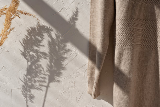 浅棕色，中性米色羊毛毛衣挂在白色的空墙背景与生活方式花卉阳光阴影。审美极简可持续的女性时尚服装理念。图片下载