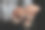 父母手握针织婴儿袜的特写镜头图片下载