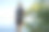 这个男孩夏天在河里钓鱼。图片下载