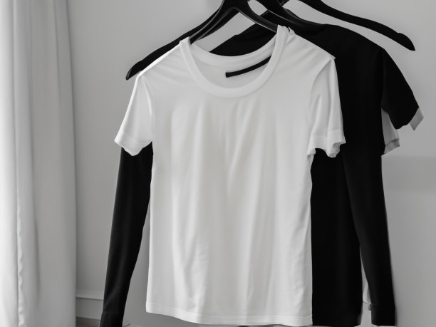 现实的t恤模型|衣架上的空白黑白t恤，设计模型。清楚纯棉t恤模拟模板。服装商店标识模拟品牌展示图片下载