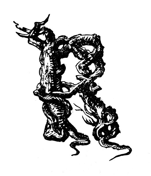 古董古董树枝字母R图片下载