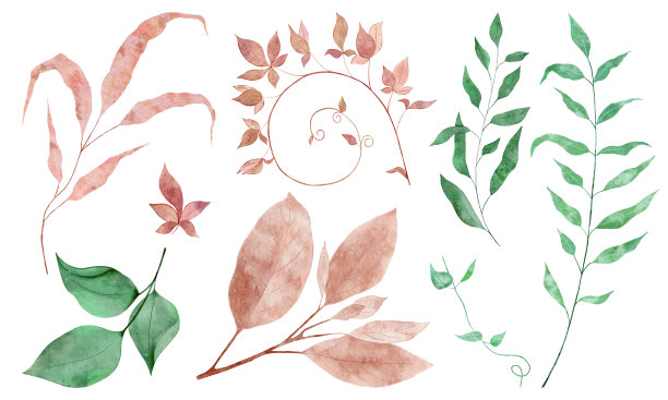 水彩画集绿色和粉红色的树枝，树叶，手绘。图片下载