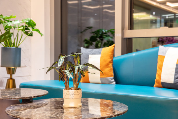 明亮的起居区，配有真皮沙发图片下载