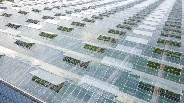 种植植物的温室通风系统图片下载