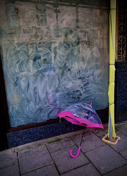 《风雨之后图片下载