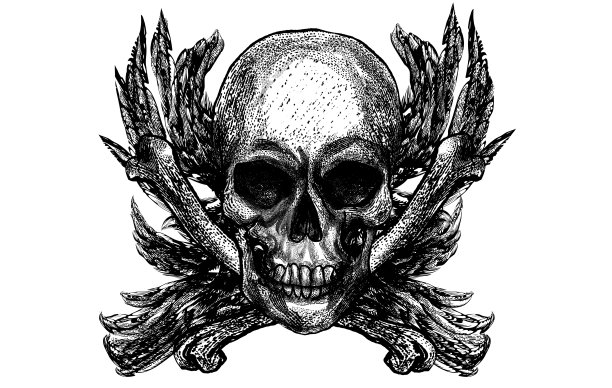 艺术品插图雕刻头骨与骨头。图片下载