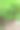 种植园里的橘子树结满了成熟的果实。土耳其的收获季节。图片下载