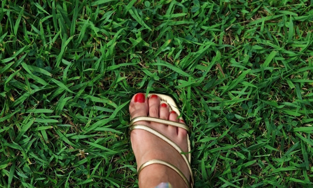 草地上穿着凉鞋的女人的脚图片下载