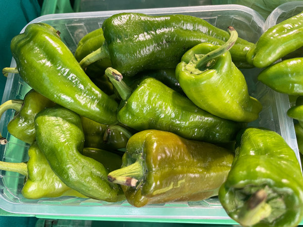 新鲜农产品超市货架单元的全画幅图像，绿色塑料板条箱内衬装有绿辣椒的塑料小筐，高架视图图片下载