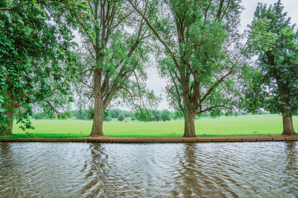 蔚蓝的天空和草地上的树木图片下载