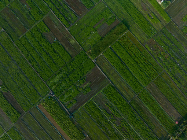 摘要航拍的菜地与许多颜色，天江省图片下载