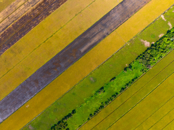 摘要航拍影像稻田与许多颜色，天江省图片下载