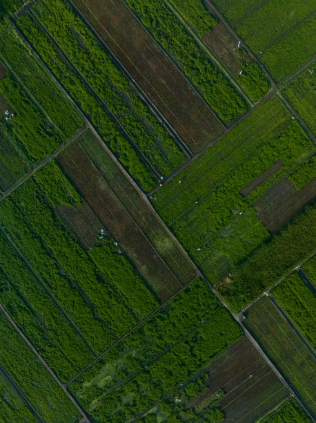 摘要航拍的菜地与许多颜色，天江省图片下载