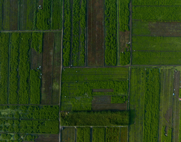 摘要航拍的菜地与许多颜色，天江省图片下载