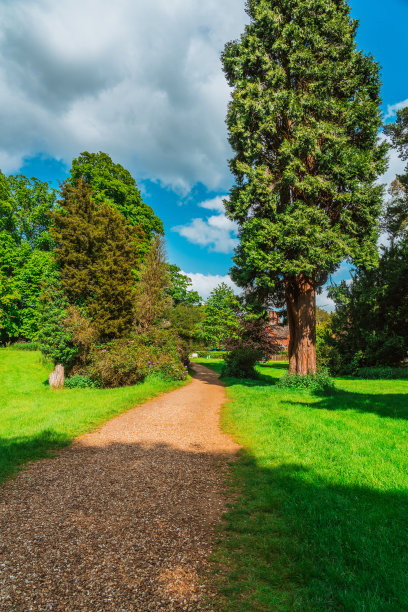 英国沃本公园的人行道图片下载